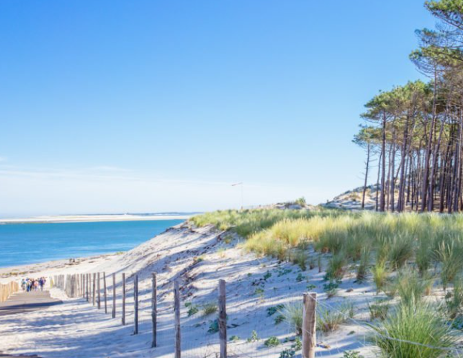 À céder - Appartement T2 - La Teste-de-Buch (33260)