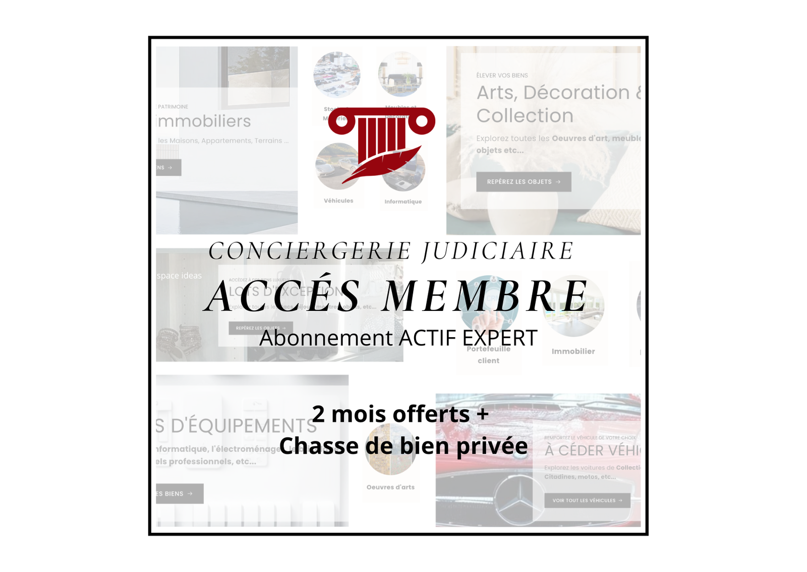 EXPERT - SUR-MESURE 999€/an