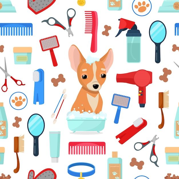 À céder – Stocks toilettage canin – Bordeaux - liquidation judiciaire - conciergerie judiciaire