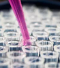 À céder – Deux brevets en ingénierie chromosomique pour l’expression génique – France - Conciergerie Judiciaire