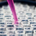 À céder – Deux brevets en ingénierie chromosomique pour l’expression génique – France - Conciergerie Judiciaire