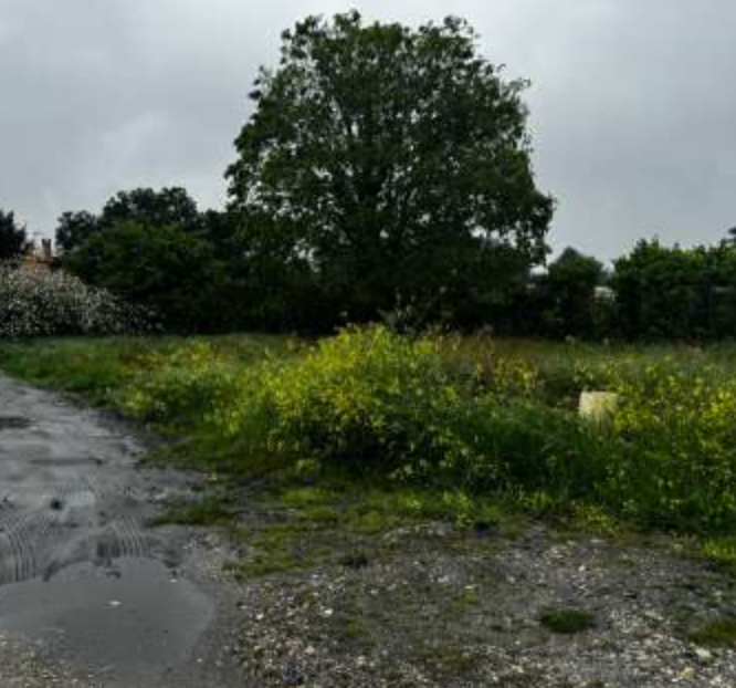 À céder - Terrains constructibles – Commune viticole du Médoc -  Margaux-Cantenac (33460) - Conciergerie Judiciaire