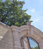 Image du Domaine de caractère secteur Côte Chalonnaise en liquidation judiciaire, cession encadrée, vin français de Bourgogne.